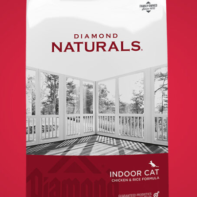 394DN-2001-DN-Indoor-Cat